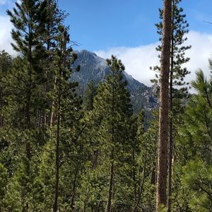 Meet your Posher, Natasha